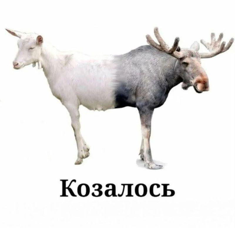 AI HR — че за??? | Сетка — социальная сеть от hh.ru