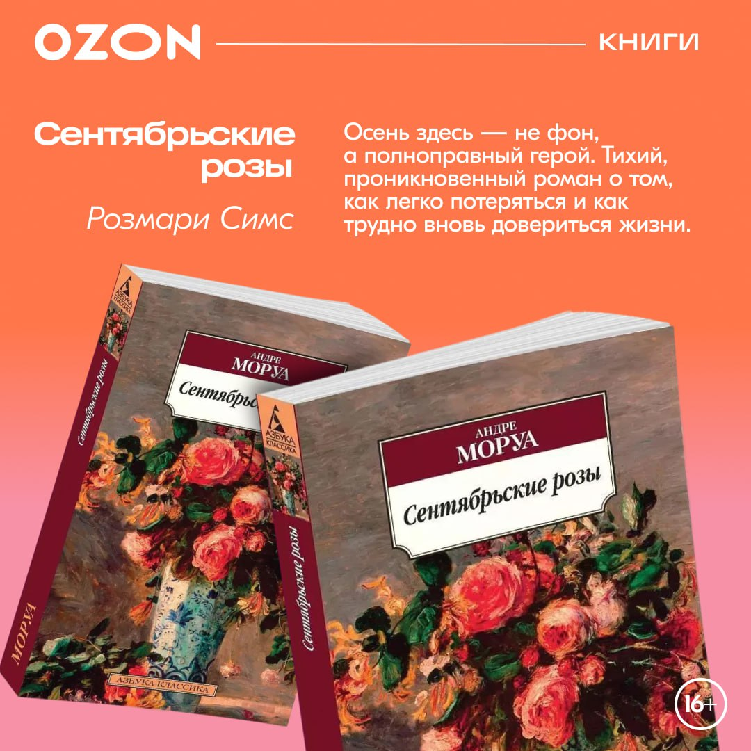 Книжная полка для уютного чтения
Осень за окном может быть серой, но в книгах всегда найдётся другой мир — яркий, глубокий, захватывающий | Сетка — социальная сеть от hh.ru