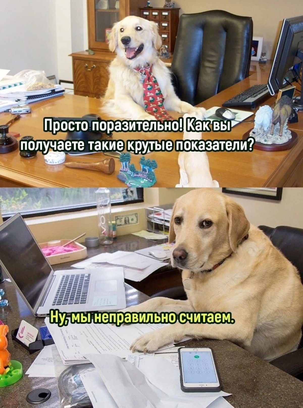 О важности изысканий | Сетка — социальная сеть от hh.ru