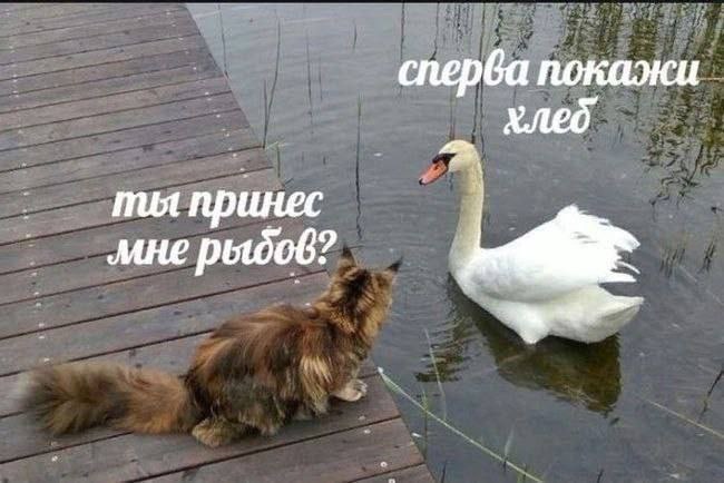 С - Собеседование 😂😂😂
#Юмор@poldner | Сетка — социальная сеть от hh.ru