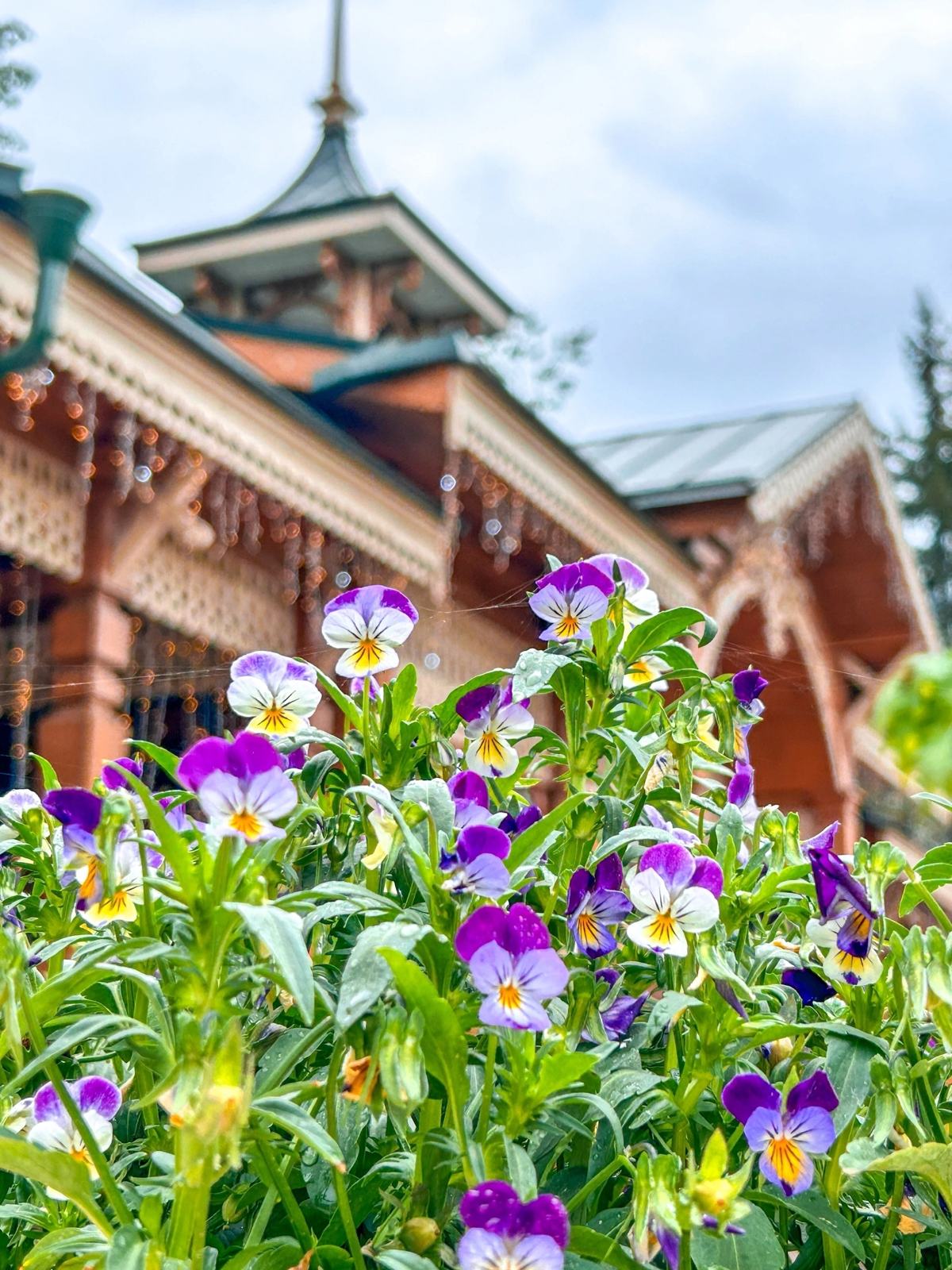 Отличные новости! Мы приобрели участок в Рыбинске! | Сетка — социальная сеть от hh.ru