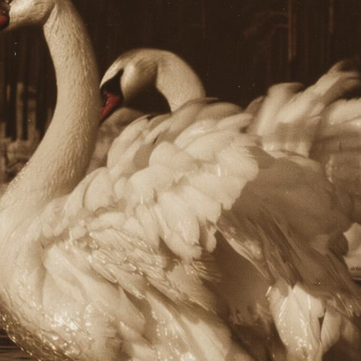 ГАЛЕРЕЯ AI: Russian Vibe | Сетка — социальная сеть от hh.ru