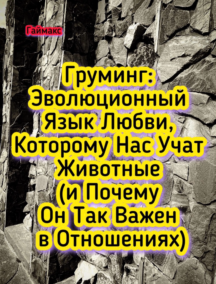 Груминг: Эволюционный Язык Любви, Которому Нас Учат Животные | Сетка — социальная сеть от hh.ru