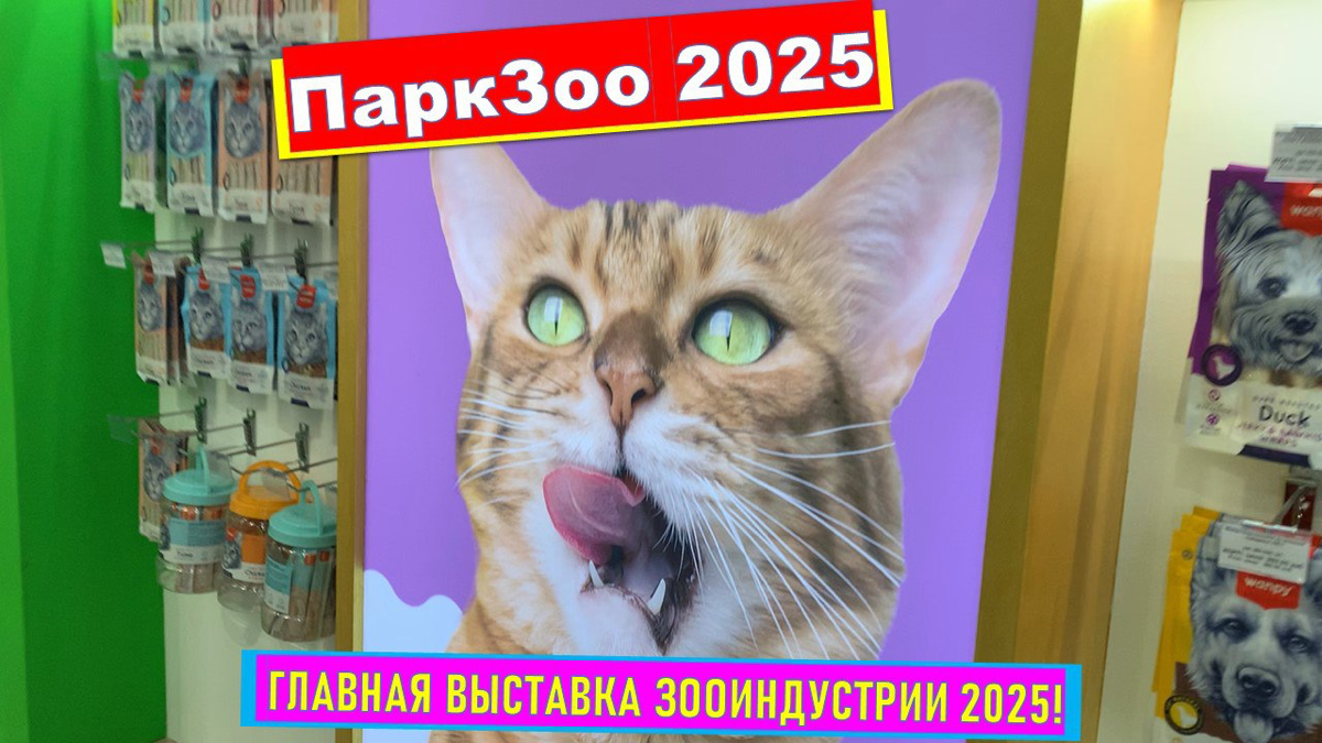 🔥 ПаркЗоо 2025 | Сетка — социальная сеть от hh.ru