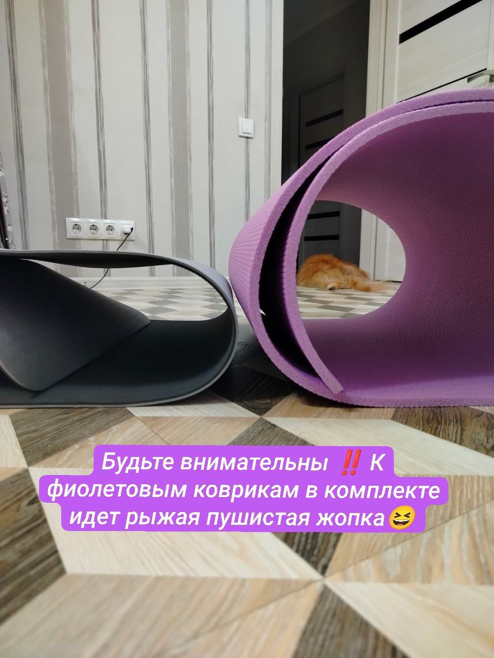 🤔 Факты о ковриках, которые могут удивить:
🧘‍♀️ Первые йогины занимались… вообще без коврика — прямо на траве или циновках. Современный коврик появился только в 1980-х | Сетка — социальная сеть от hh.ru