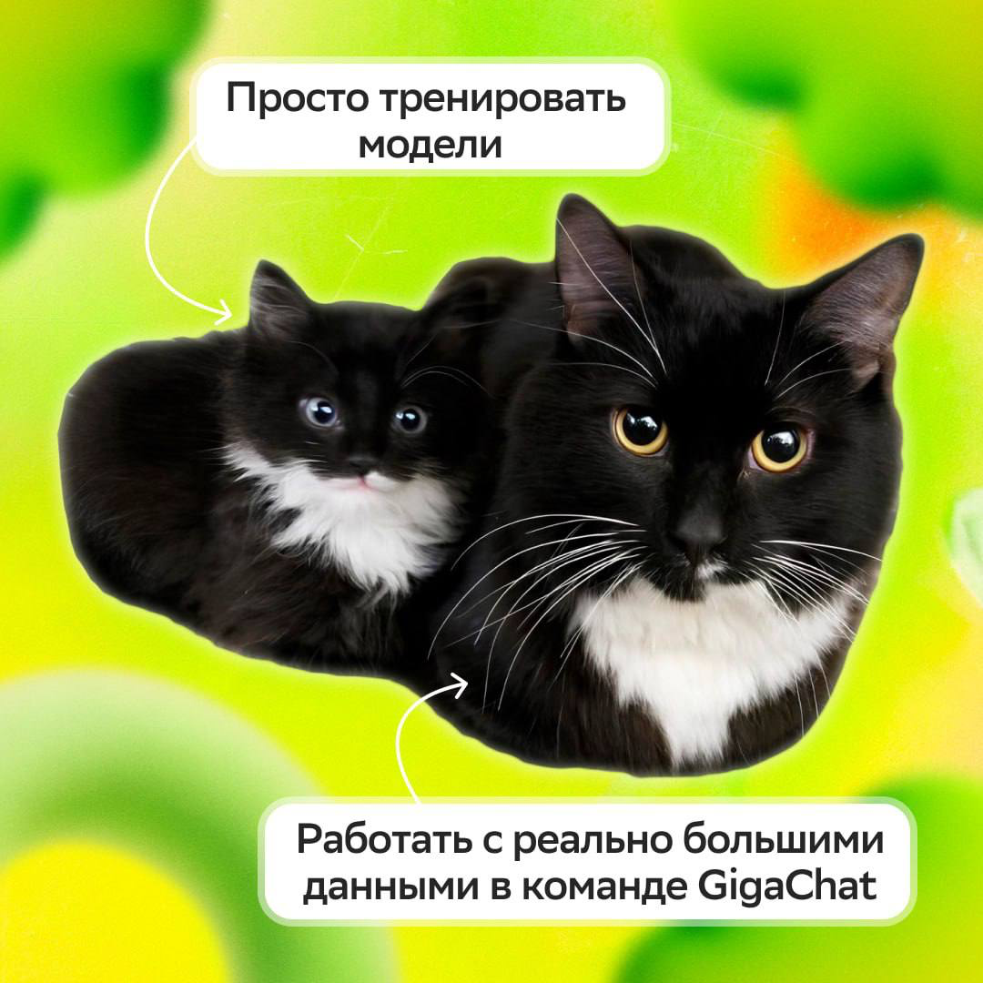 Мы в Сбере на меньшее не соглашаемся 😎
Если тоже ценишь масштаб, откликайся на вакансию и погнали вместе создавать будущее AI:
• NLP Engineer (GigaChat Pretrain Data): https://s.sber.ru/CktCps | Сетка — социальная сеть от hh.ru