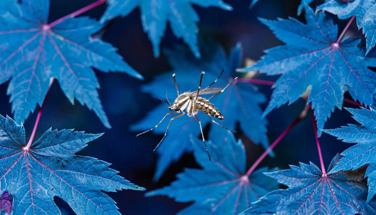 Эксперименты AI генерации | Сетка — социальная сеть от hh.ru