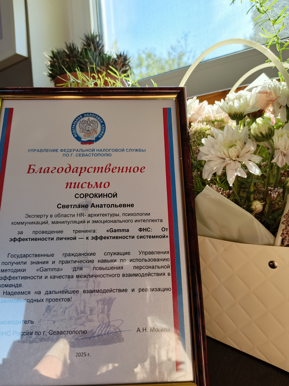 👣 Гамма шагает по стране.
Завершен большой и важный этап становления Гаммы и меня, как эксперта | Сетка — социальная сеть от hh.ru