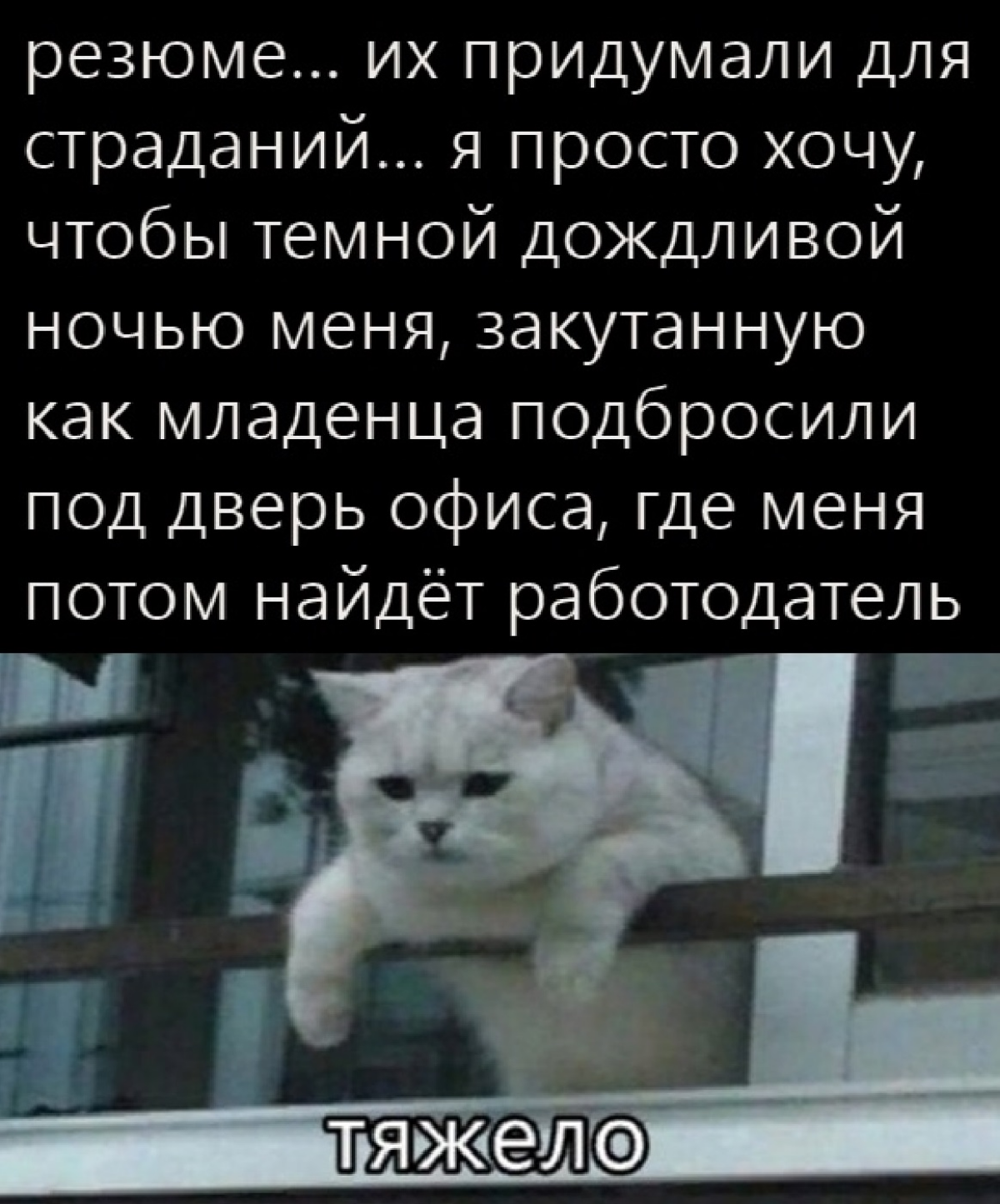 Устала искать хорошего заказчика (работодателя) | Сетка — социальная сеть от hh.ru