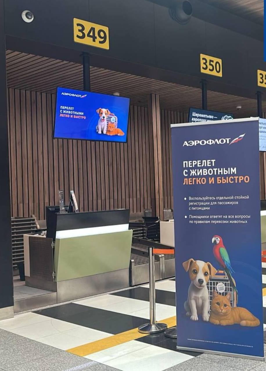 🦮В Шереметьево появилась отдельная стойка «Аэрофлота» для пассажиров с животными
Там проверят документы, оформят питомца и выдадут посадочный талон | Сетка — социальная сеть от hh.ru