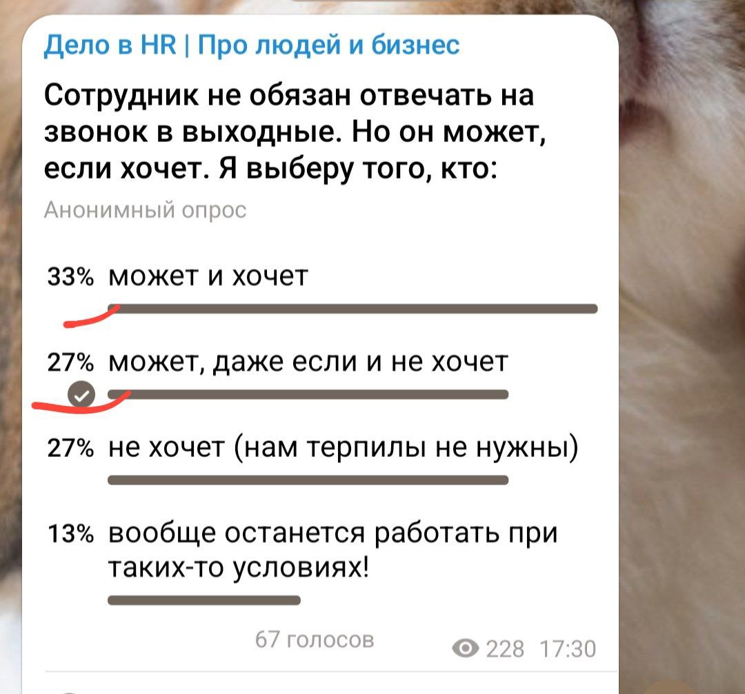 Всё с вами ясно 😂 | Сетка — социальная сеть от hh.ru