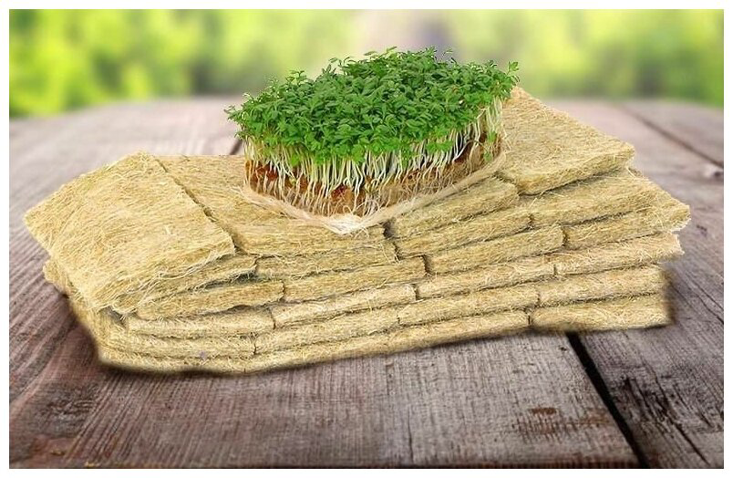 💥💥💥💥💥💥💥💥💥💥ПРИВЕТСТВУЮ ВАС, МОИ ДОРОГИЕ ДРУЗЬЯ! 👋🤩 💥💥💥💥💥💥💥💥💥💥💥💥
👉👉👉 Сегодня Сити Ферма MicroGreens from LadyMari 🌿 приоткроет завесу тайны и расскажет, как подготовиться к волшебству посадки семян | Сетка — социальная сеть от hh.ru