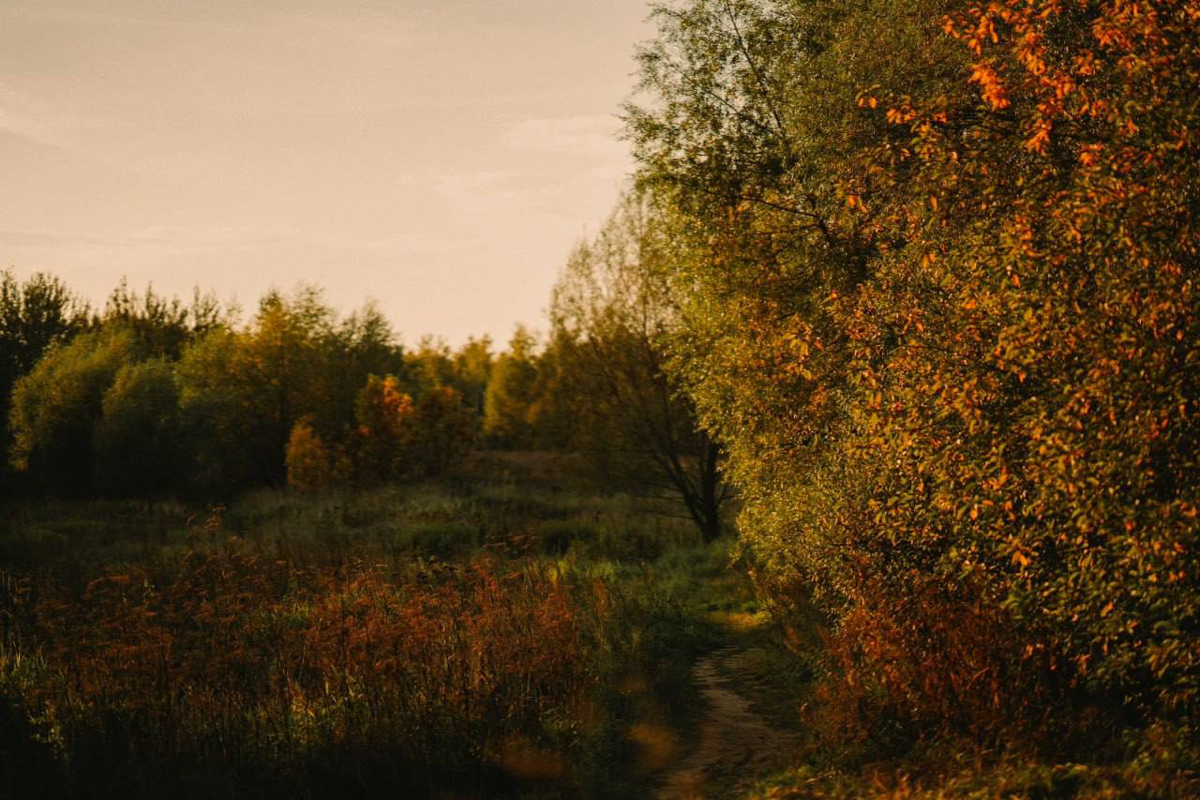 Притча: «Где ты сейчас?» | Сетка — социальная сеть от hh.ru