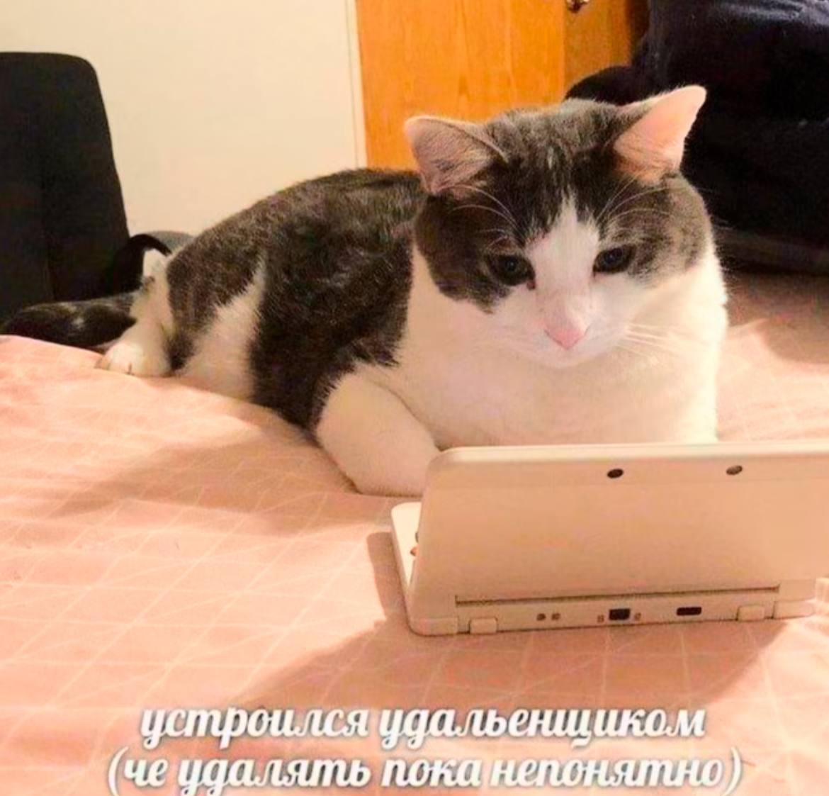 День 26
🔤 не открывала ноутбук (у меня day off)
🔤 выспалась
🔤 радовалась, что нашла людей, которые любят такой же хлебушек, как и я
🔤 купила мартинсы (мечтала о них лет с 15) со скидкой 70+ процентов
... | Сетка — социальная сеть от hh.ru