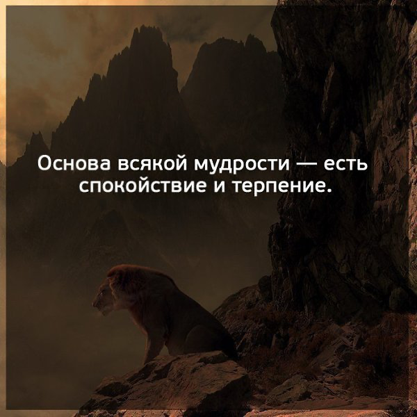Спокойствие и терпение:титаны, на которых держится сила духа | Сетка — социальная сеть от hh.ru