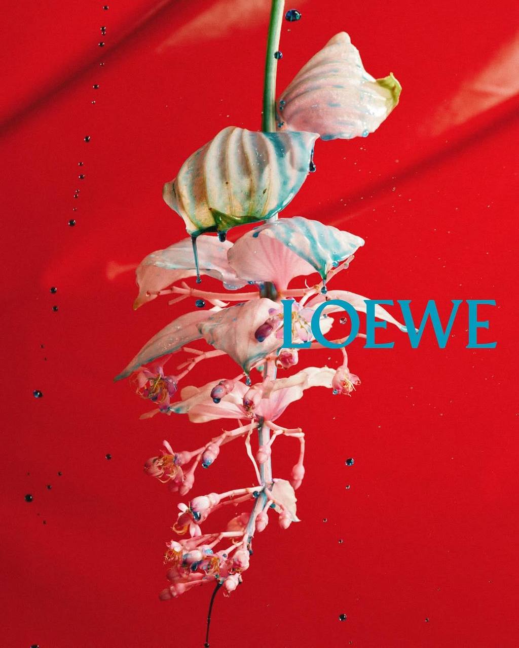 Визуал Loewe SS’26 как пожелание прекрасных выходных | Сетка — социальная сеть от hh.ru