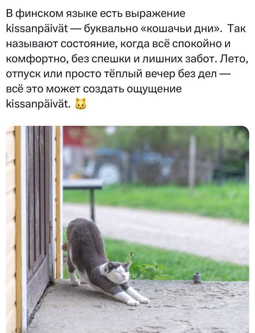 Ещё бы выговорить это 😂😂😂
#Юмор@poldner #Коты@poldner | Сетка — социальная сеть от hh.ru