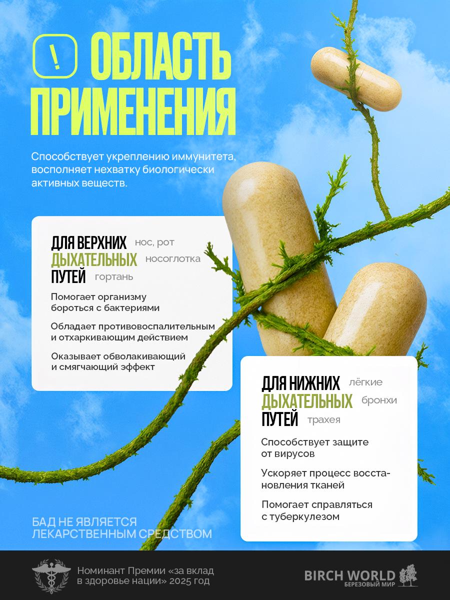 🌿 Нейросети + дизайн = магия для бренда «Тубелон»
С «Березовым миром» мы работаем уже не первый раз | Сетка — социальная сеть от hh.ru