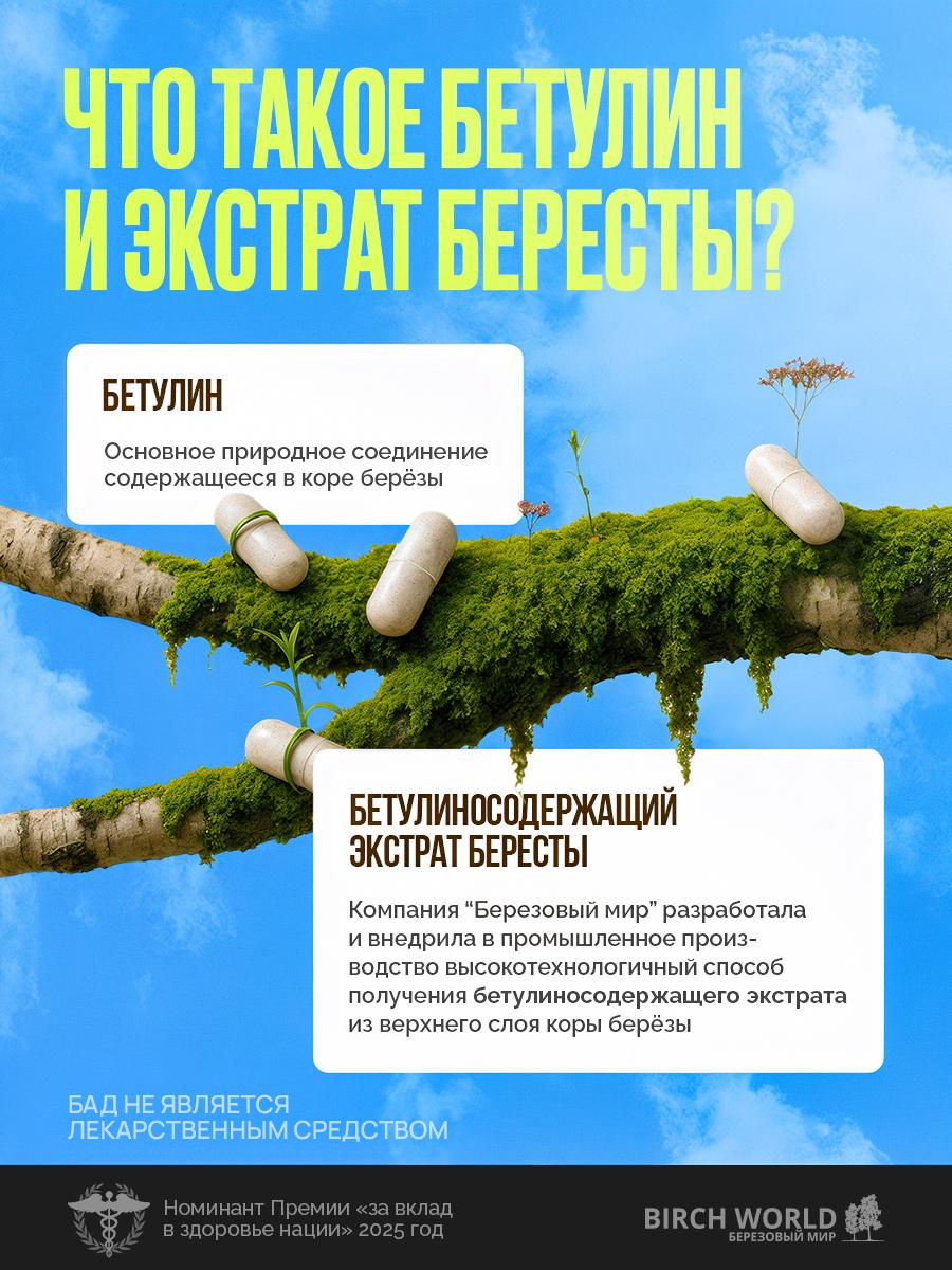 🌿 Нейросети + дизайн = магия для бренда «Тубелон»
С «Березовым миром» мы работаем уже не первый раз | Сетка — социальная сеть от hh.ru