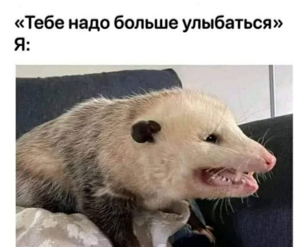 Юмор! | Сетка — социальная сеть от hh.ru