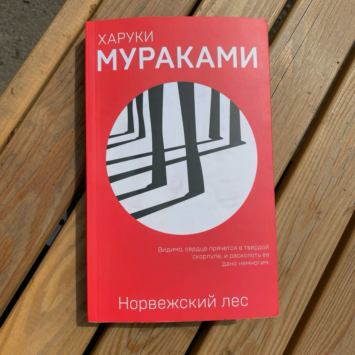 Сейчас читаю «Норвежский лес» Харуки Мураками. | Сетка — социальная сеть от hh.ru