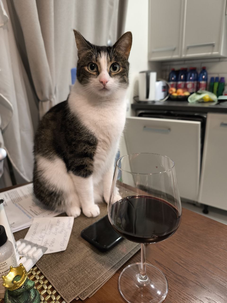 Вечер субботы с любимым 🥰 мужем.
Пробуем новое #вино
Оно шикарное 🔥🔥🔥
Макс пришел проконтролировать 😁 | Сетка — социальная сеть от hh.ru