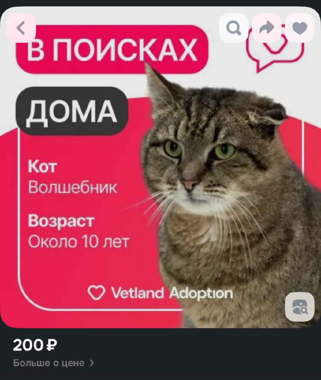 День 27
Сегодня 200 р улетело Волшебнику. Пусть принесет нам волшебства | Сетка — социальная сеть от hh.ru