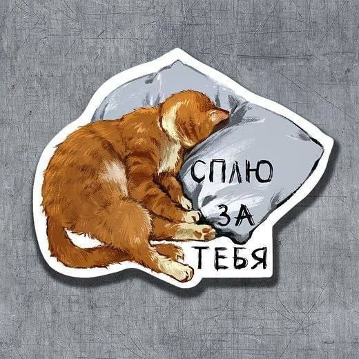 Единственное дело, которое хочется сделать самому 😂😂
#Юмор@poldner #Коты@poldner | Сетка — социальная сеть от hh.ru