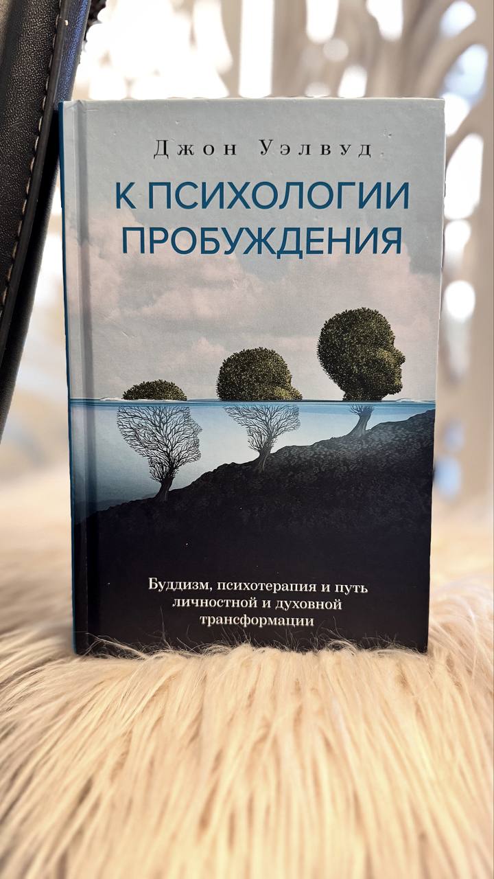 Основные мудрости
из книги «К психологии пробуждения» Джона Уэлвуда
1 | Сетка — социальная сеть от hh.ru