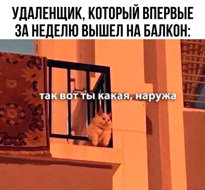 #true | Сетка — социальная сеть от hh.ru