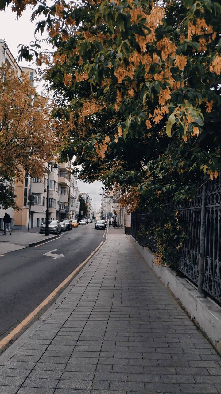 Где погулять осенью в Москве?🍁
📍Музей-заповедник «Царицыно»
📍Музей-заповедник «Коломенское»
📍Парк усадьбы «Кусково»
📍Воронцовский парк
📍Парк «Кузьминки-Люблино»
📍Нескучный сад
📍Воробьевы горы
📍Сад «Эр... | Сетка — социальная сеть от hh.ru