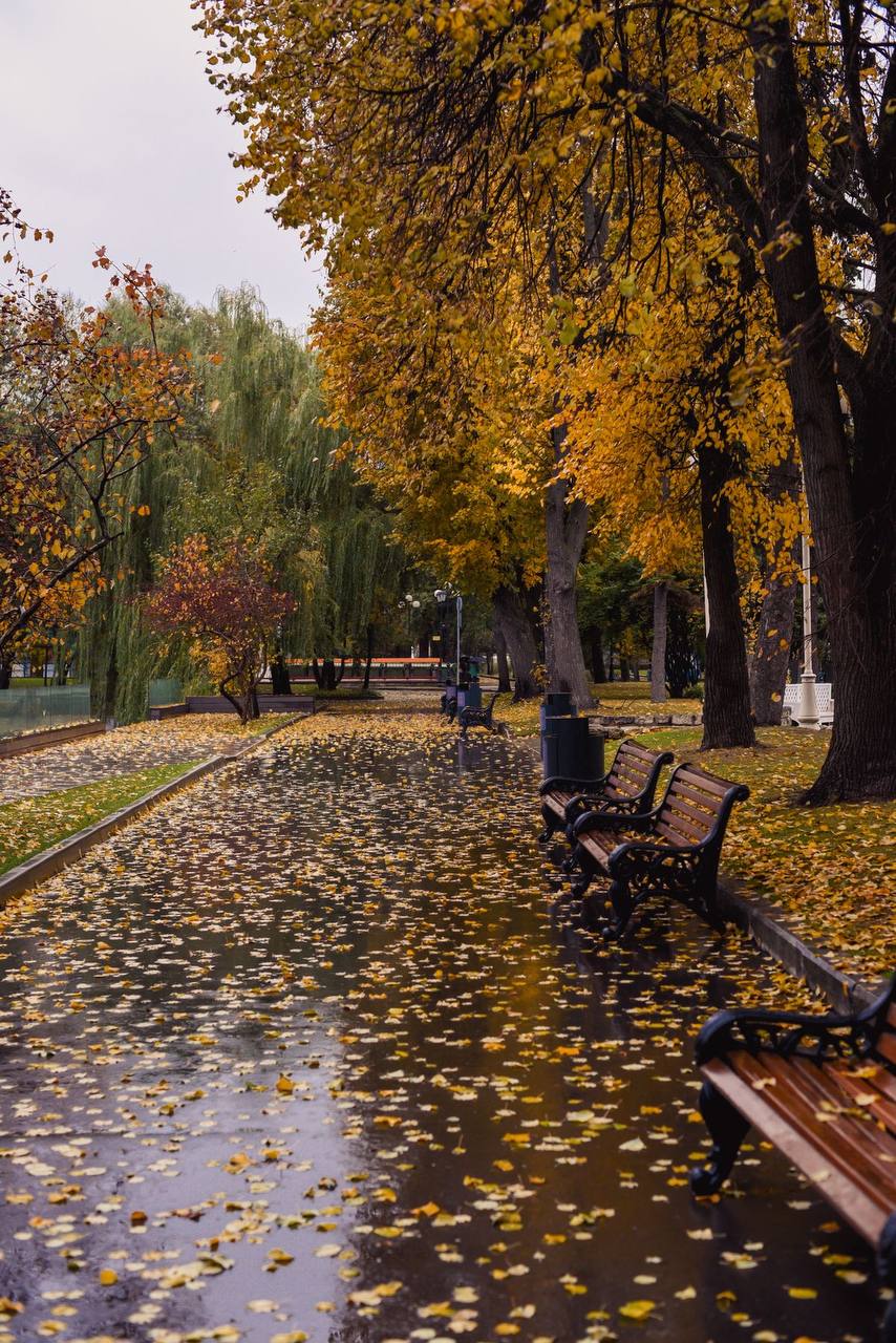 Где погулять осенью в Москве?🍁
📍Музей-заповедник «Царицыно»
📍Музей-заповедник «Коломенское»
📍Парк усадьбы «Кусково»
📍Воронцовский парк
📍Парк «Кузьминки-Люблино»
📍Нескучный сад
📍Воробьевы горы
📍Сад «Эр... | Сетка — социальная сеть от hh.ru