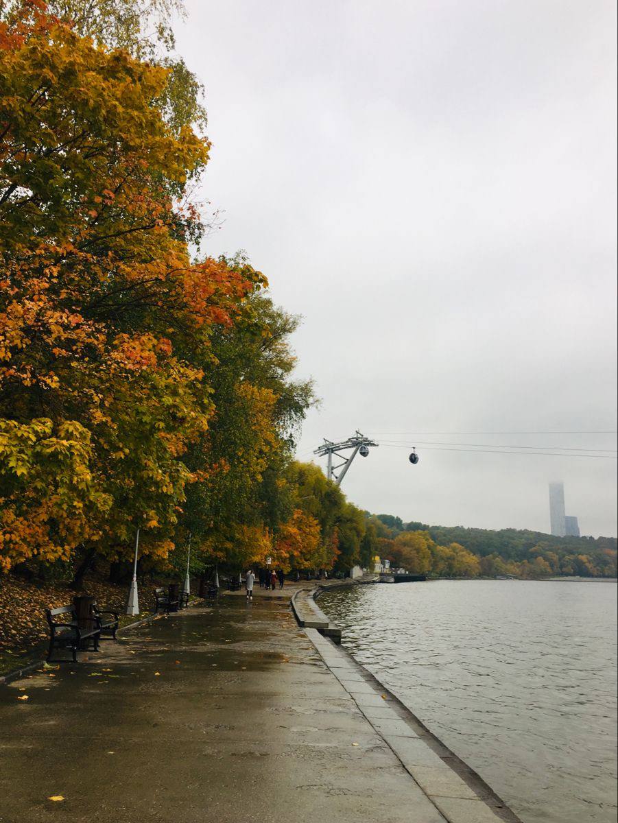 Где погулять осенью в Москве?🍁
📍Музей-заповедник «Царицыно»
📍Музей-заповедник «Коломенское»
📍Парк усадьбы «Кусково»
📍Воронцовский парк
📍Парк «Кузьминки-Люблино»
📍Нескучный сад
📍Воробьевы горы
📍Сад «Эр... | Сетка — социальная сеть от hh.ru