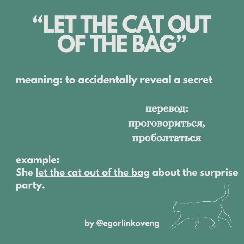 5 MOST COMMON IDIOMS IN ENGLISH are finally here! 📚 | Сетка — социальная сеть от hh.ru
