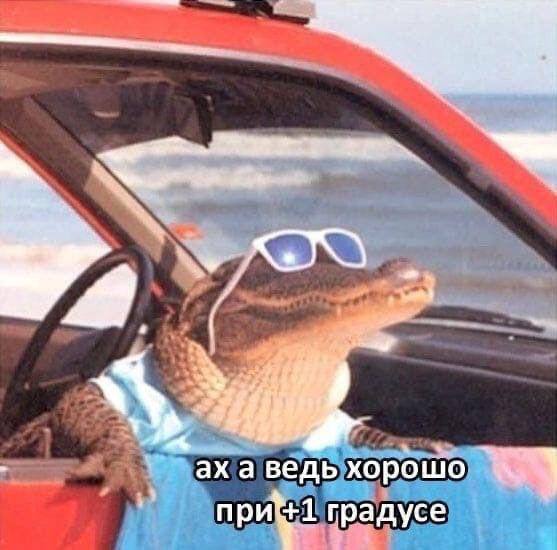 Картинки для поднятия воскресного настроения | Сетка — социальная сеть от hh.ru