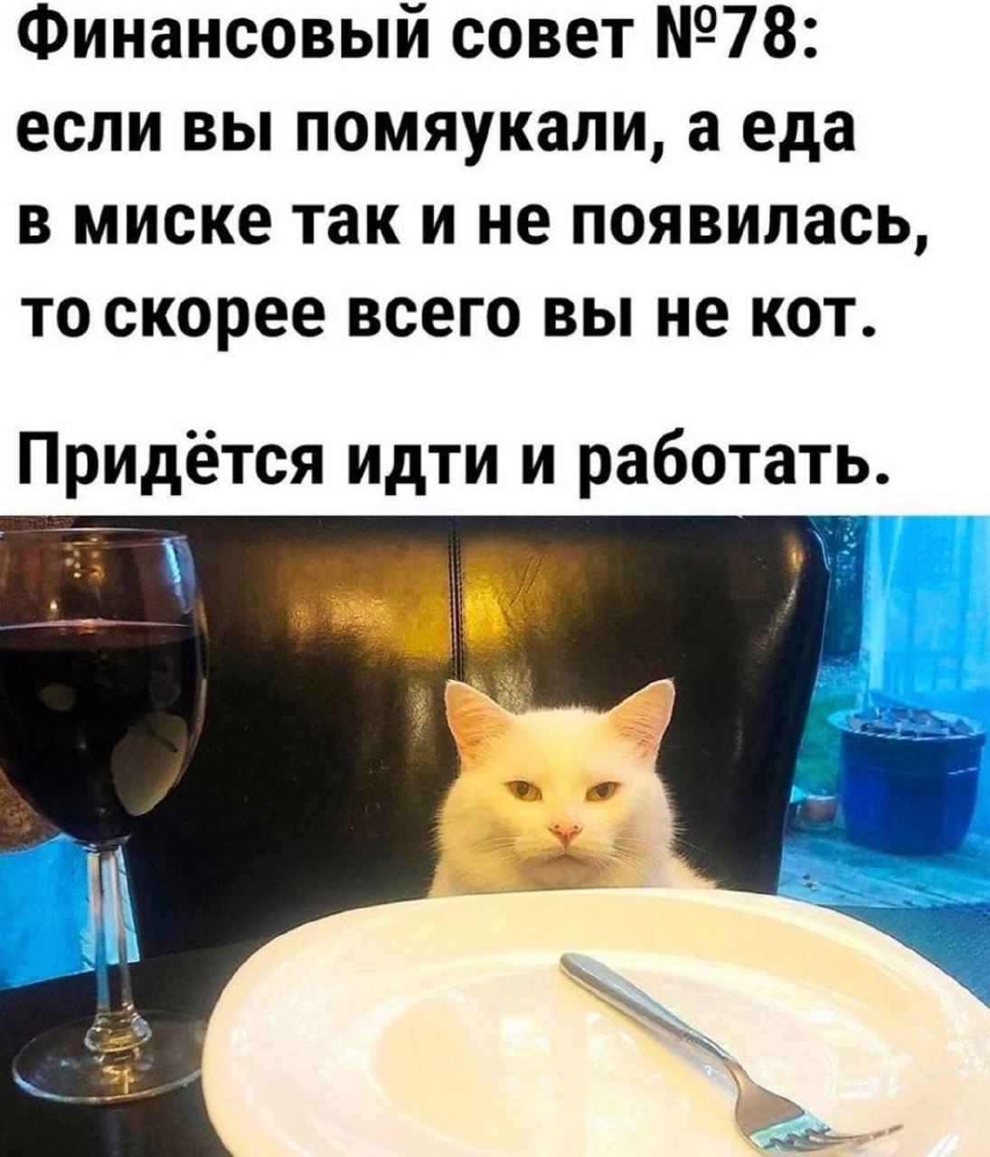 Картинки для поднятия воскресного настроения | Сетка — социальная сеть от hh.ru