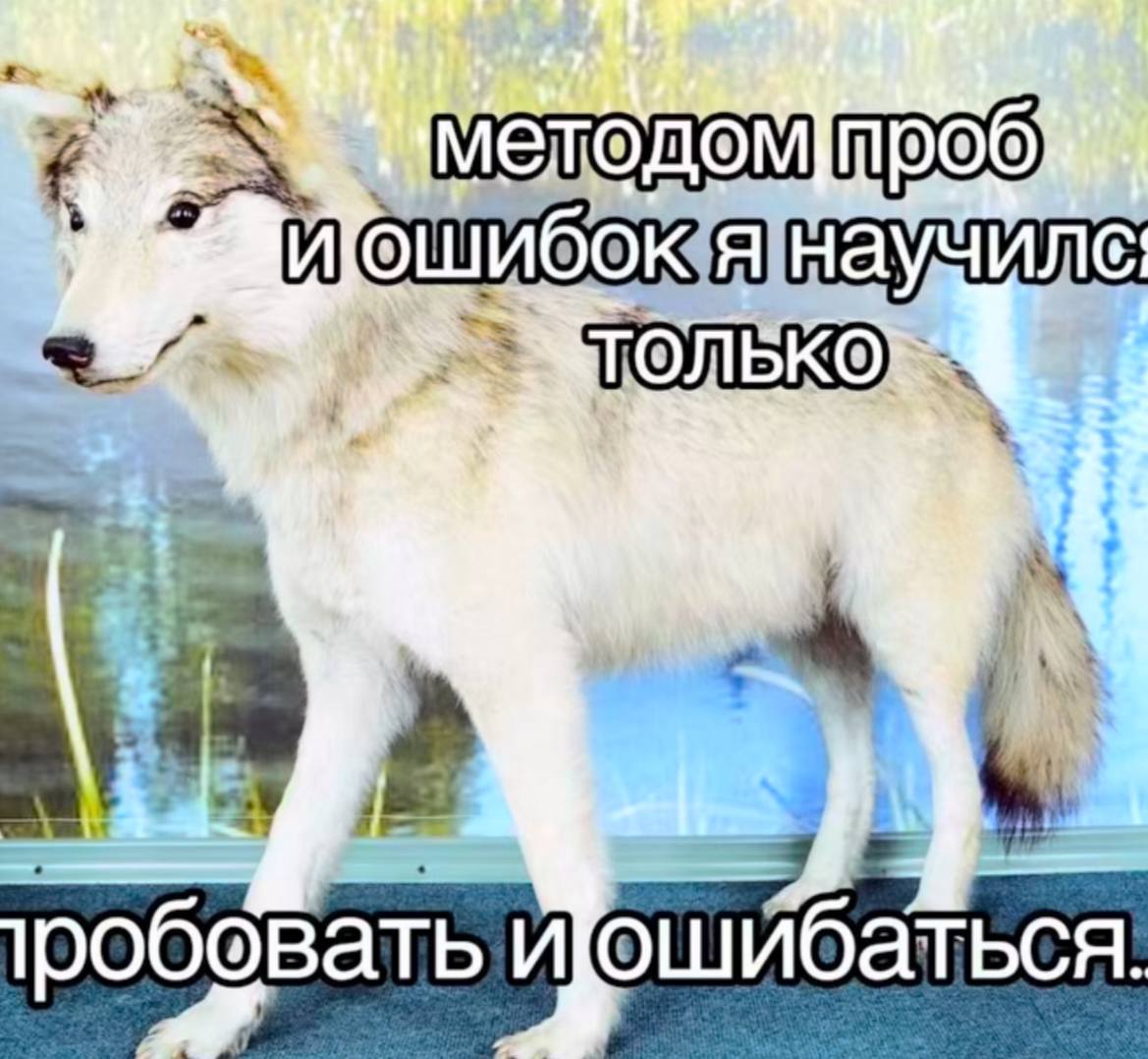 Картинки для поднятия воскресного настроения | Сетка — социальная сеть от hh.ru