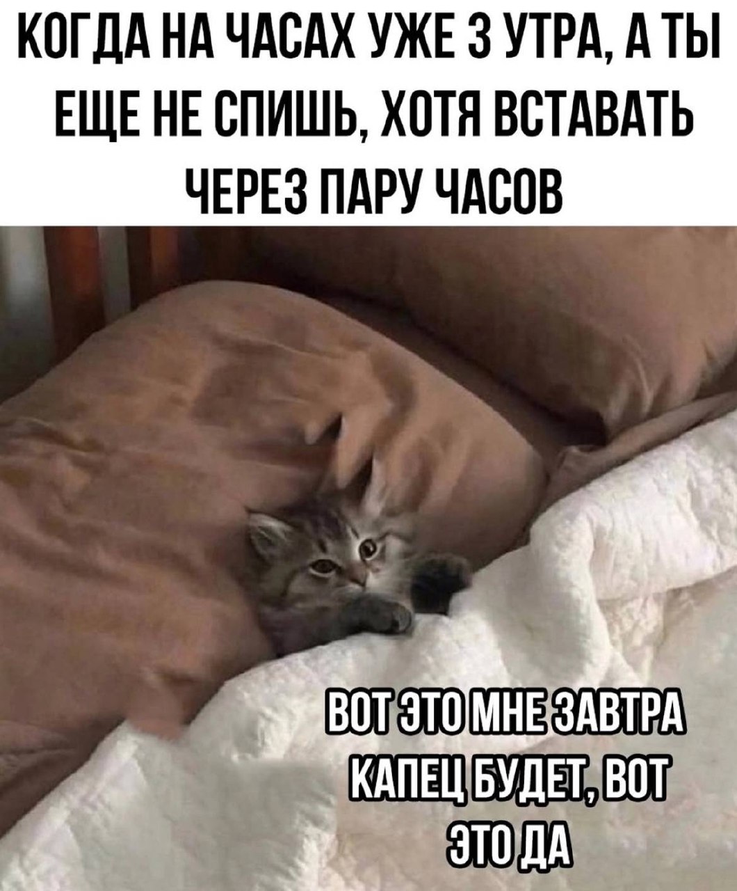Картинки для поднятия воскресного настроения | Сетка — социальная сеть от hh.ru