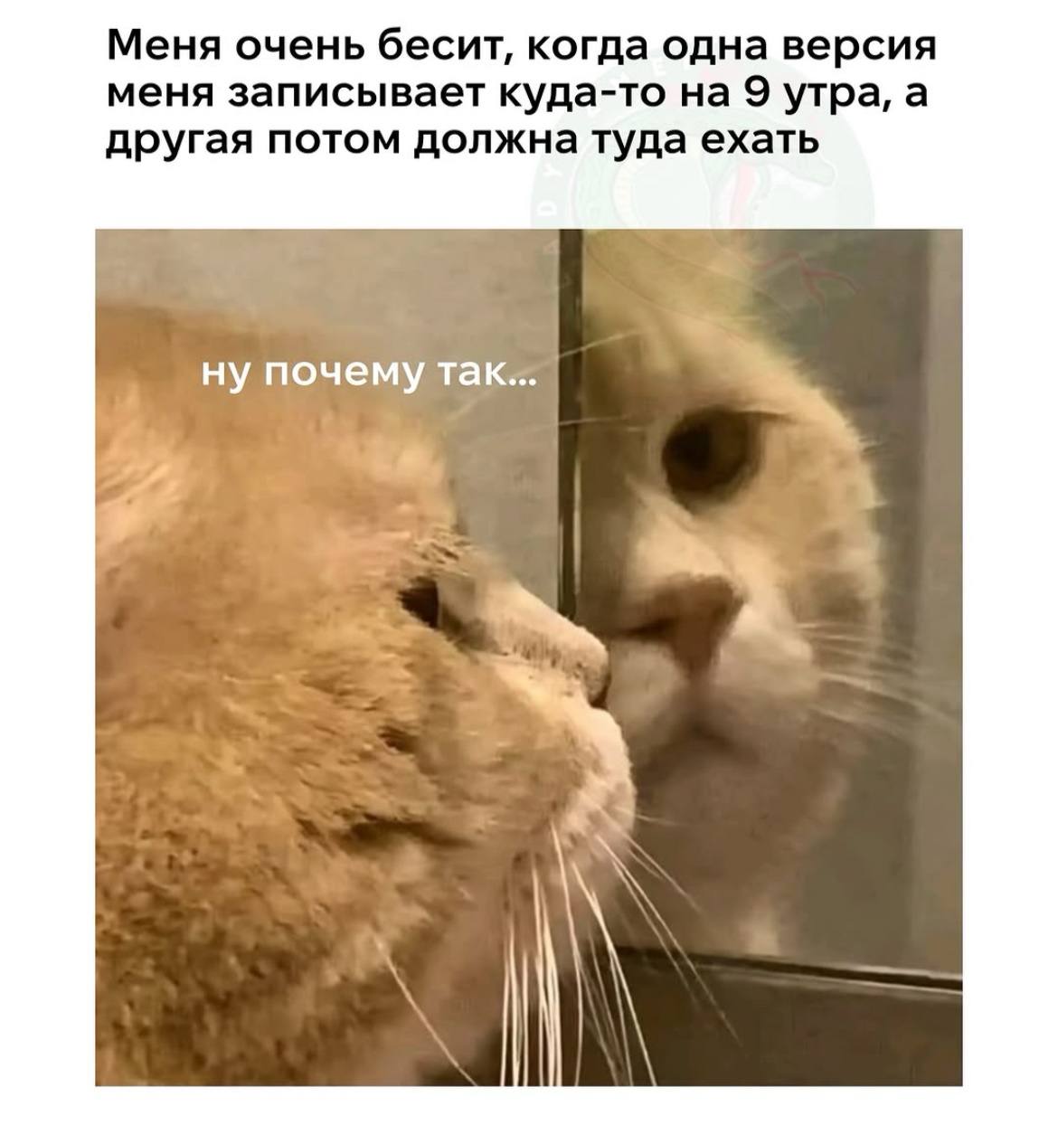 Картинки для поднятия воскресного настроения | Сетка — социальная сеть от hh.ru