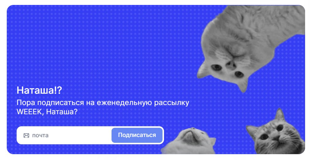 Как вам такая форма подписки? | Сетка — социальная сеть от hh.ru