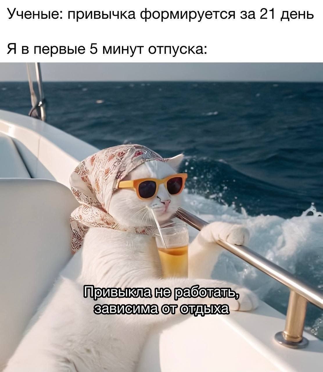 И всегда одно и то же 😂😂😂
#Юмор@poldner #Коты@poldner | Сетка — социальная сеть от hh.ru