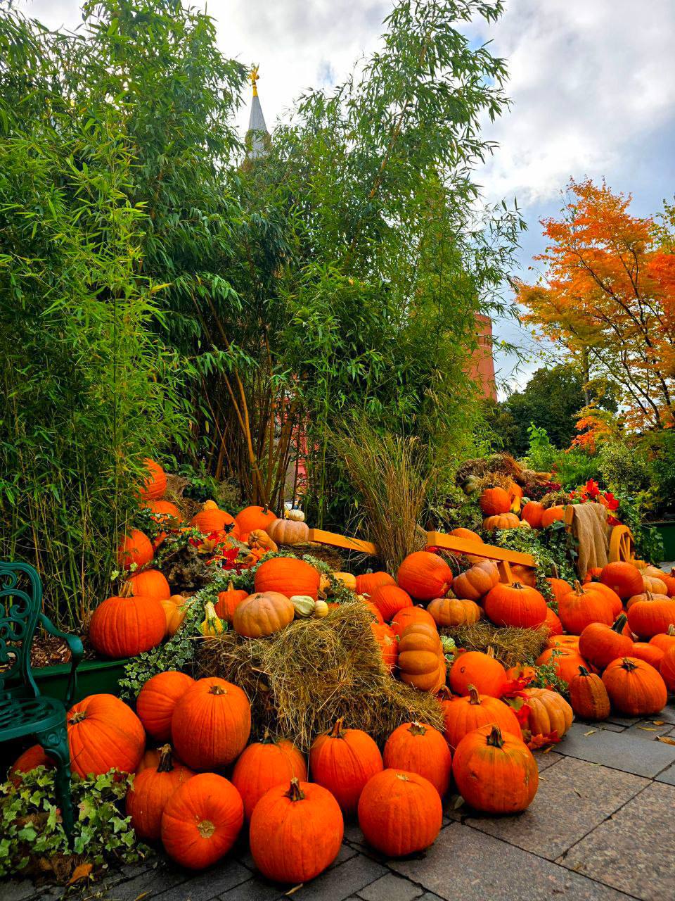 🍁Осенний Гастрономический фестиваль
📍Манежная площадь
📲Подпишитесь на Вдвижении
#бесплатно #фестивали
В этом посте были ссылки, но мы их удалили по правилам Сетки | Сетка — социальная сеть от hh.ru