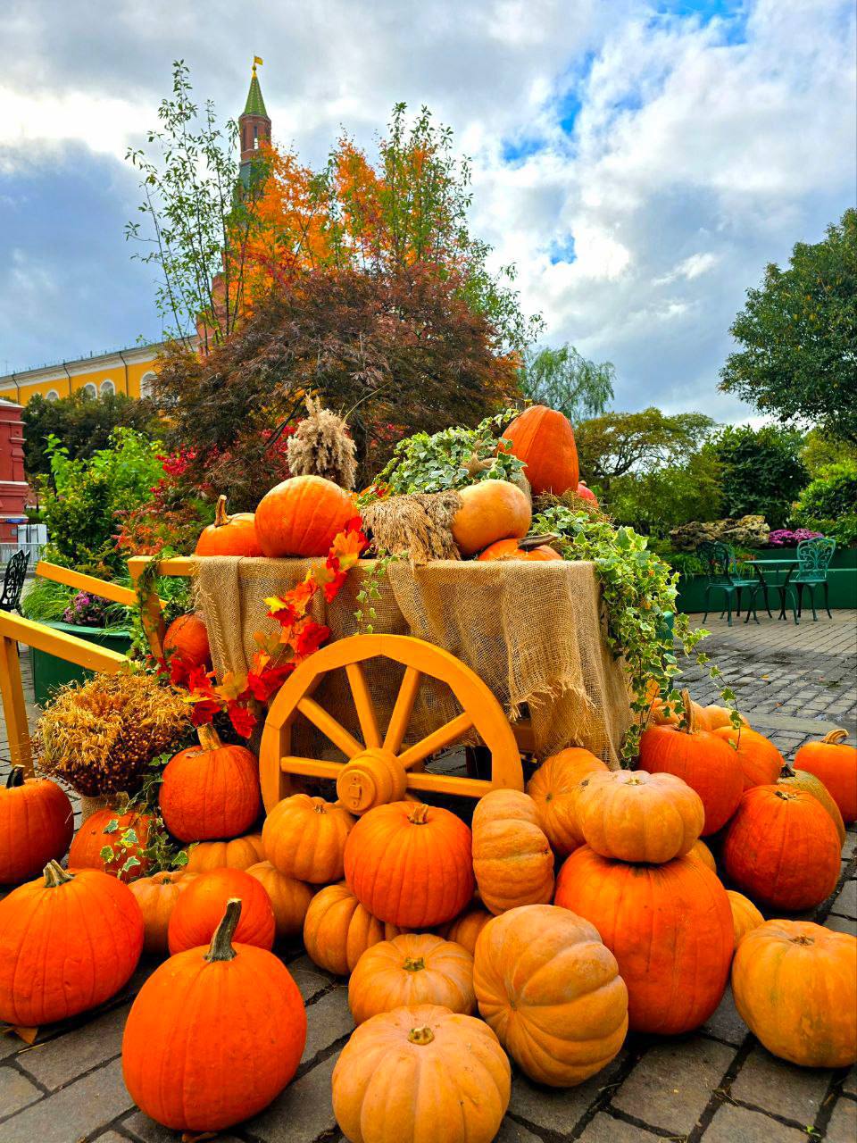 🍁Осенний Гастрономический фестиваль
📍Манежная площадь
📲Подпишитесь на Вдвижении
#бесплатно #фестивали
В этом посте были ссылки, но мы их удалили по правилам Сетки | Сетка — социальная сеть от hh.ru
