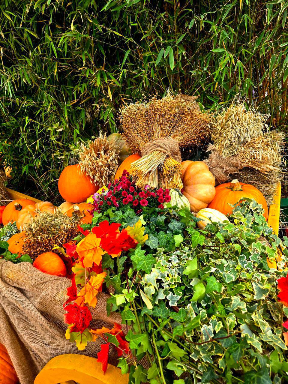 🍁Осенний Гастрономический фестиваль
📍Манежная площадь
📲Подпишитесь на Вдвижении
#бесплатно #фестивали
В этом посте были ссылки, но мы их удалили по правилам Сетки | Сетка — социальная сеть от hh.ru