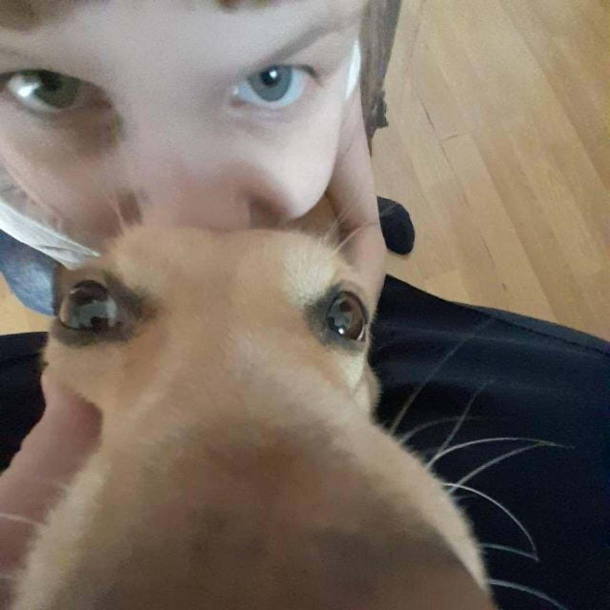 София Голушко