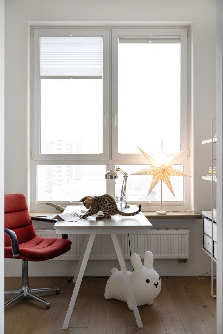 Бытует мнение, что самый сложный клиент для дизайнера — он сам | Сетка — социальная сеть от hh.ru