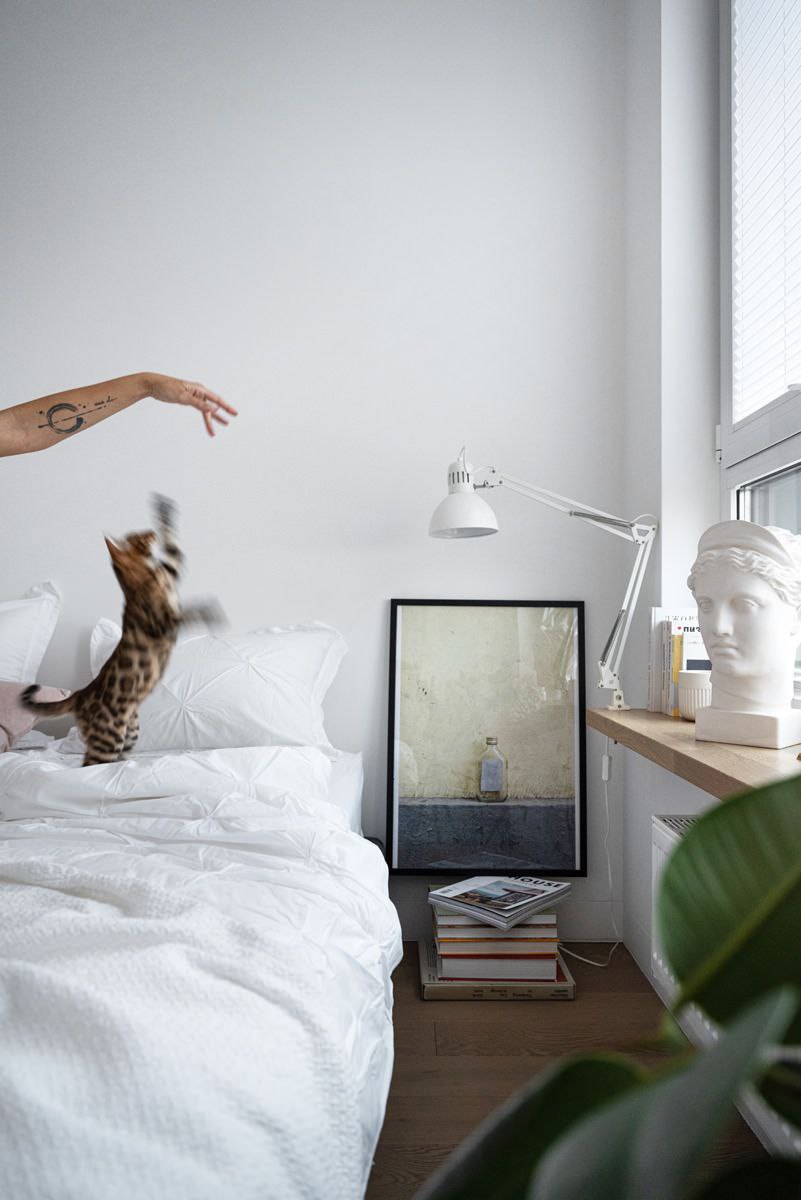 Бытует мнение, что самый сложный клиент для дизайнера — он сам | Сетка — социальная сеть от hh.ru