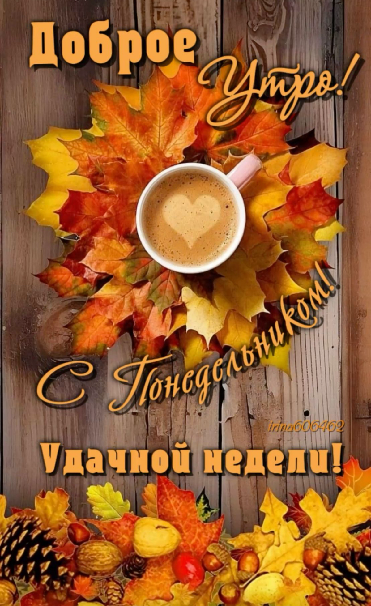 Понедельник- время начать что-то новое…🤔 #понедельник#хорошейнедели#мотиватор#ищузаказы | Сетка — социальная сеть от hh.ru