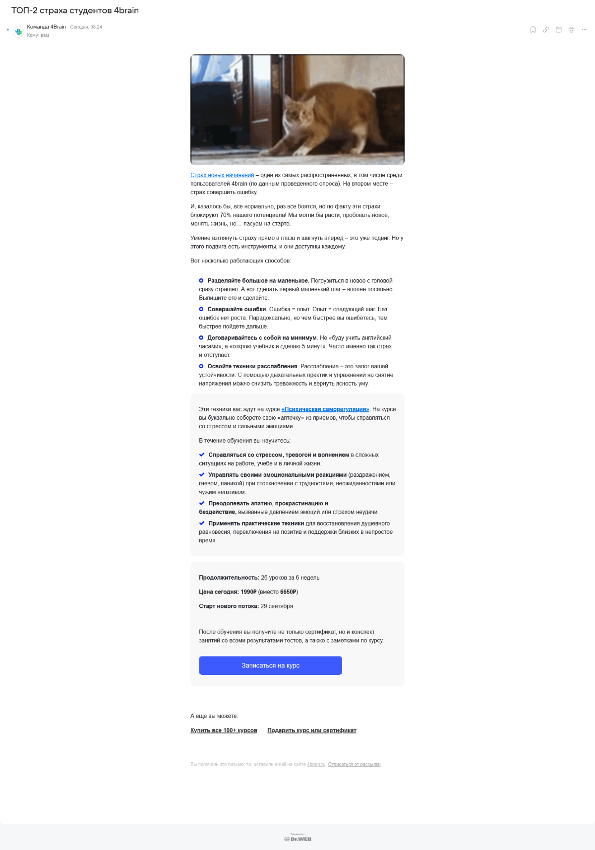 Аудит рассылки платформы по развитию soft skills | Сетка — социальная сеть от hh.ru