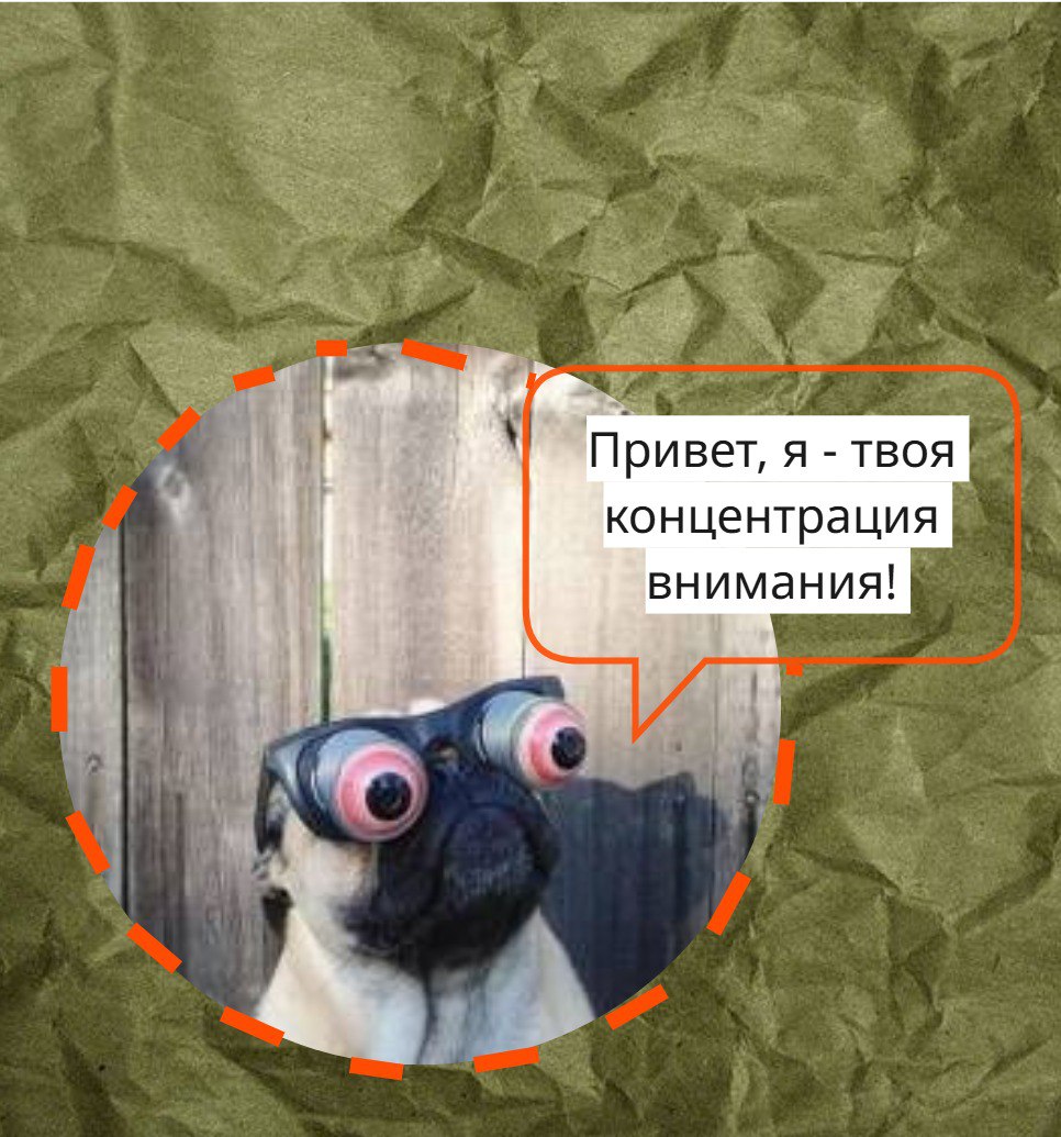 https://t.me/familydotexe | Сетка — социальная сеть от hh.ru
